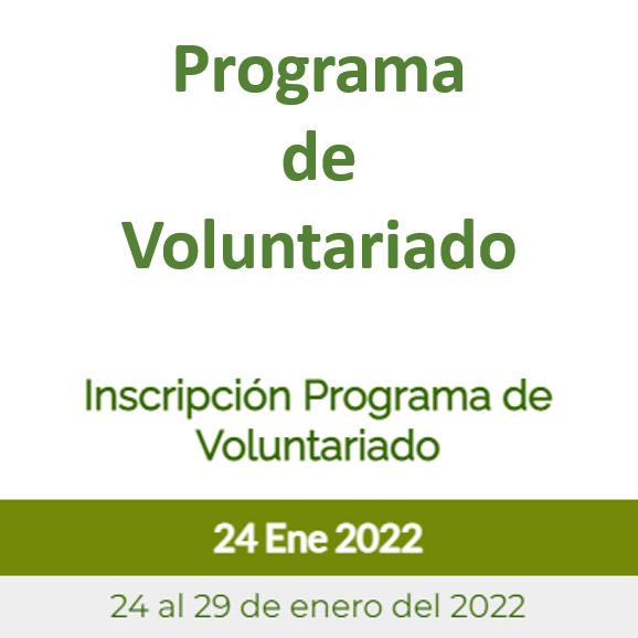 Voluntariado