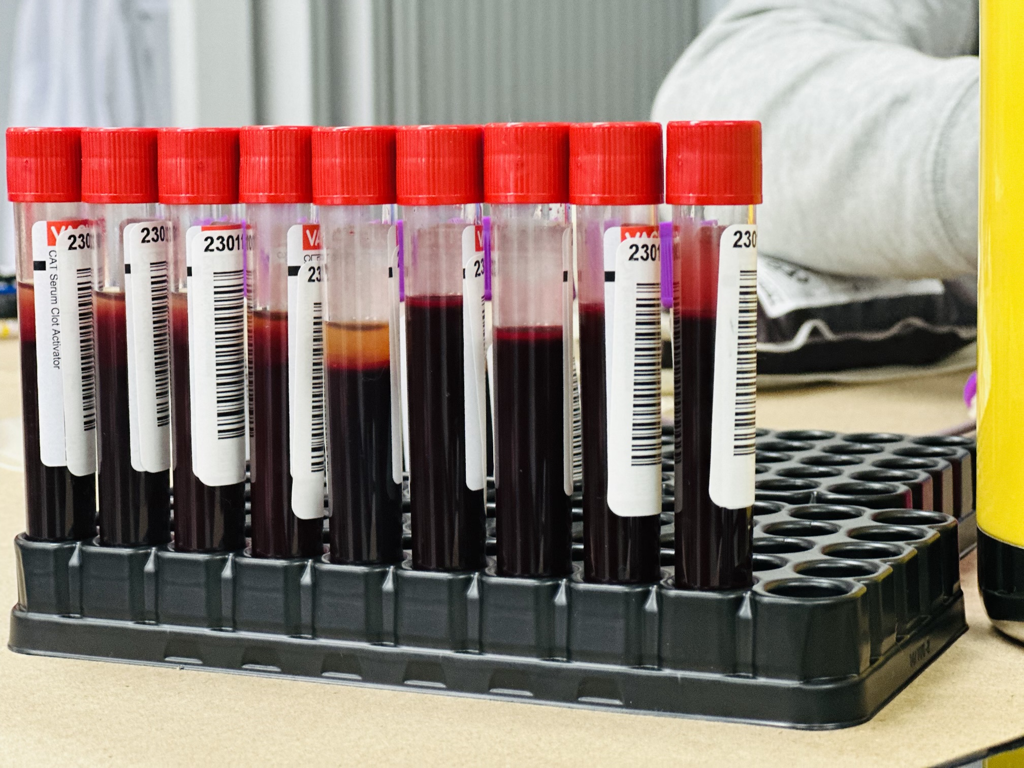 06 Campaña Voluntaria de Donación de Sangre 2023