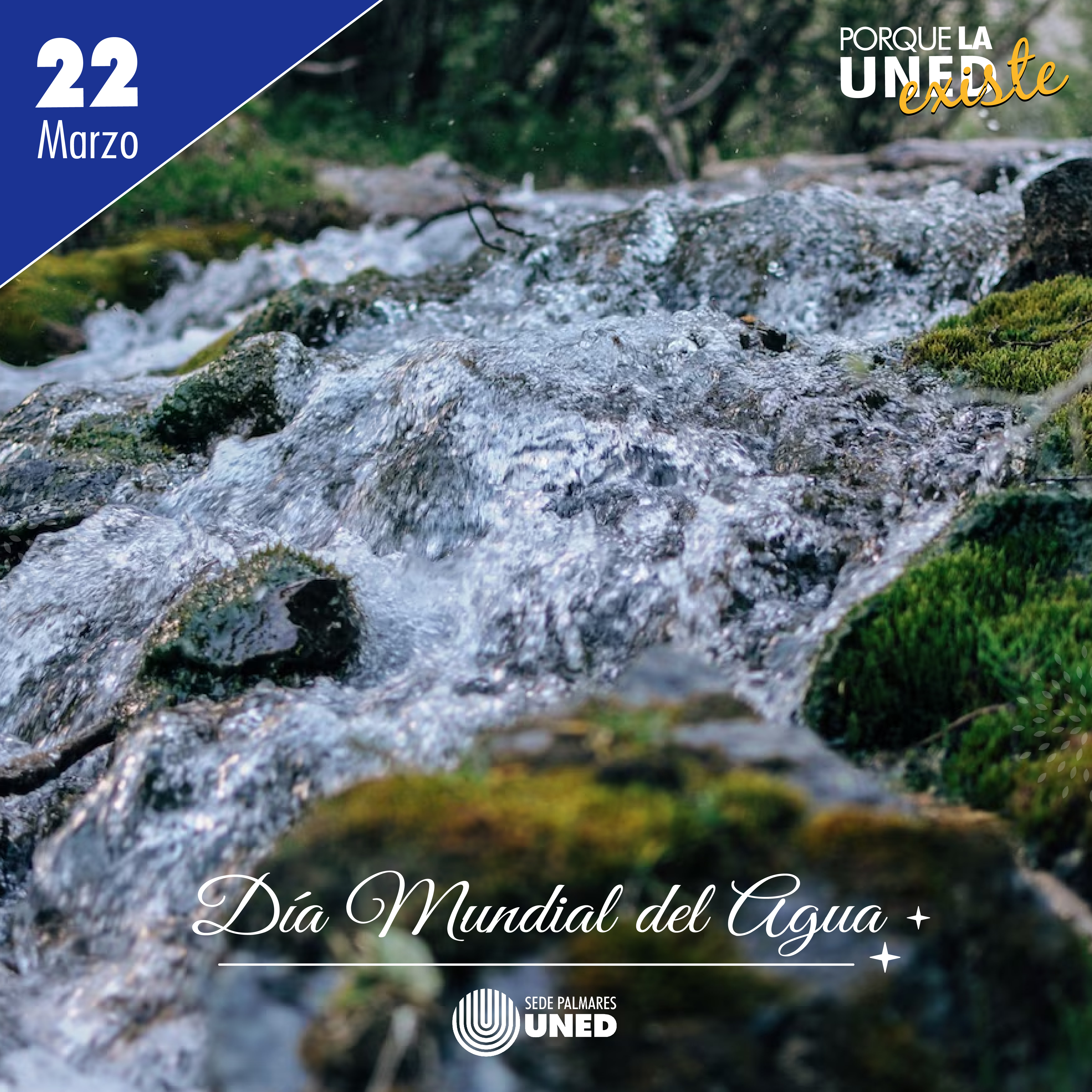 12 Día Mundial del Agua