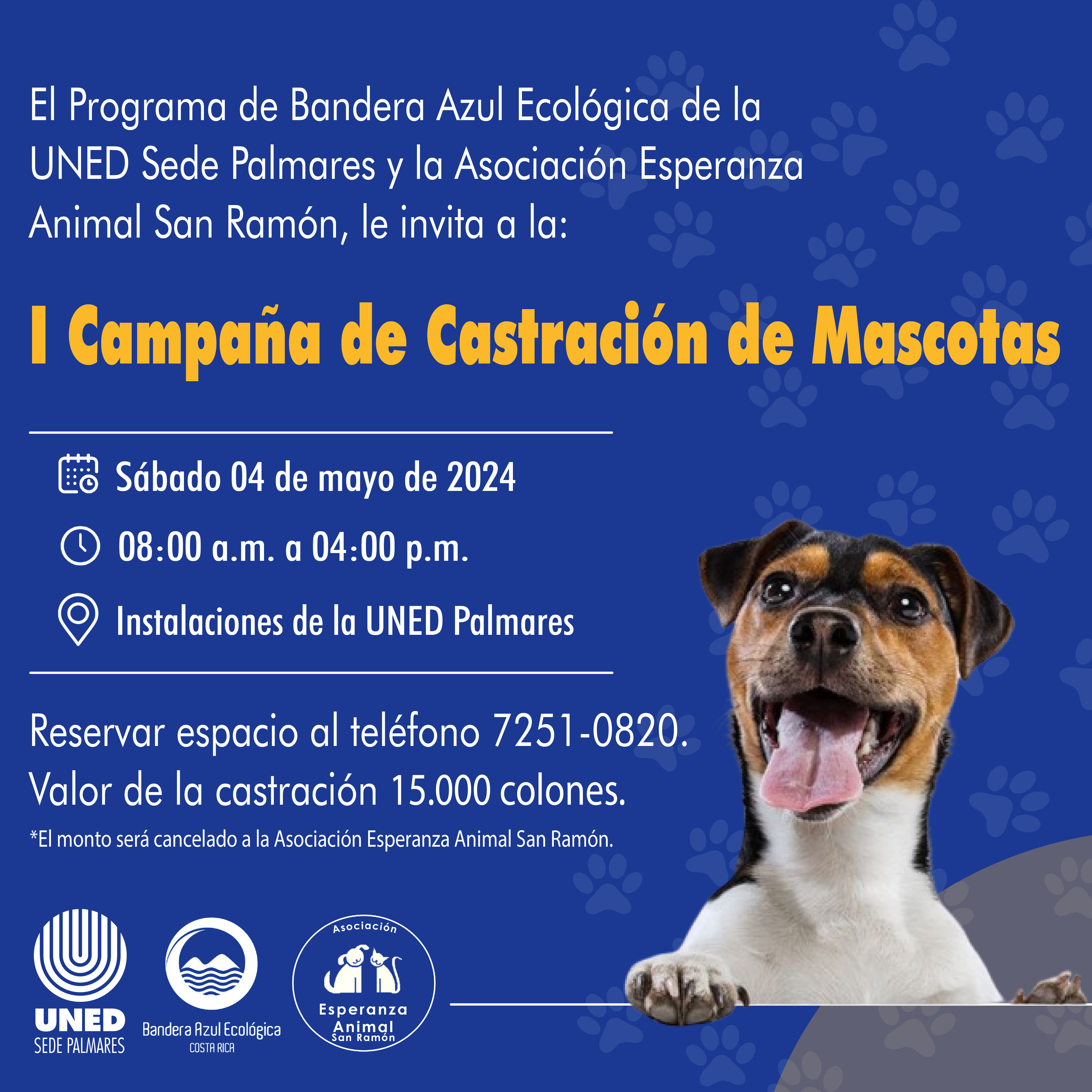 17 I Castración 2024