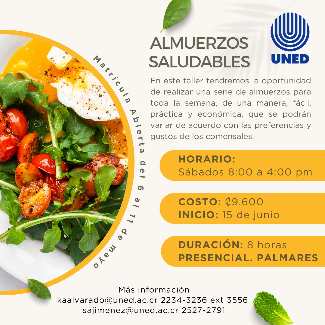 26 Almuerzos Saludables