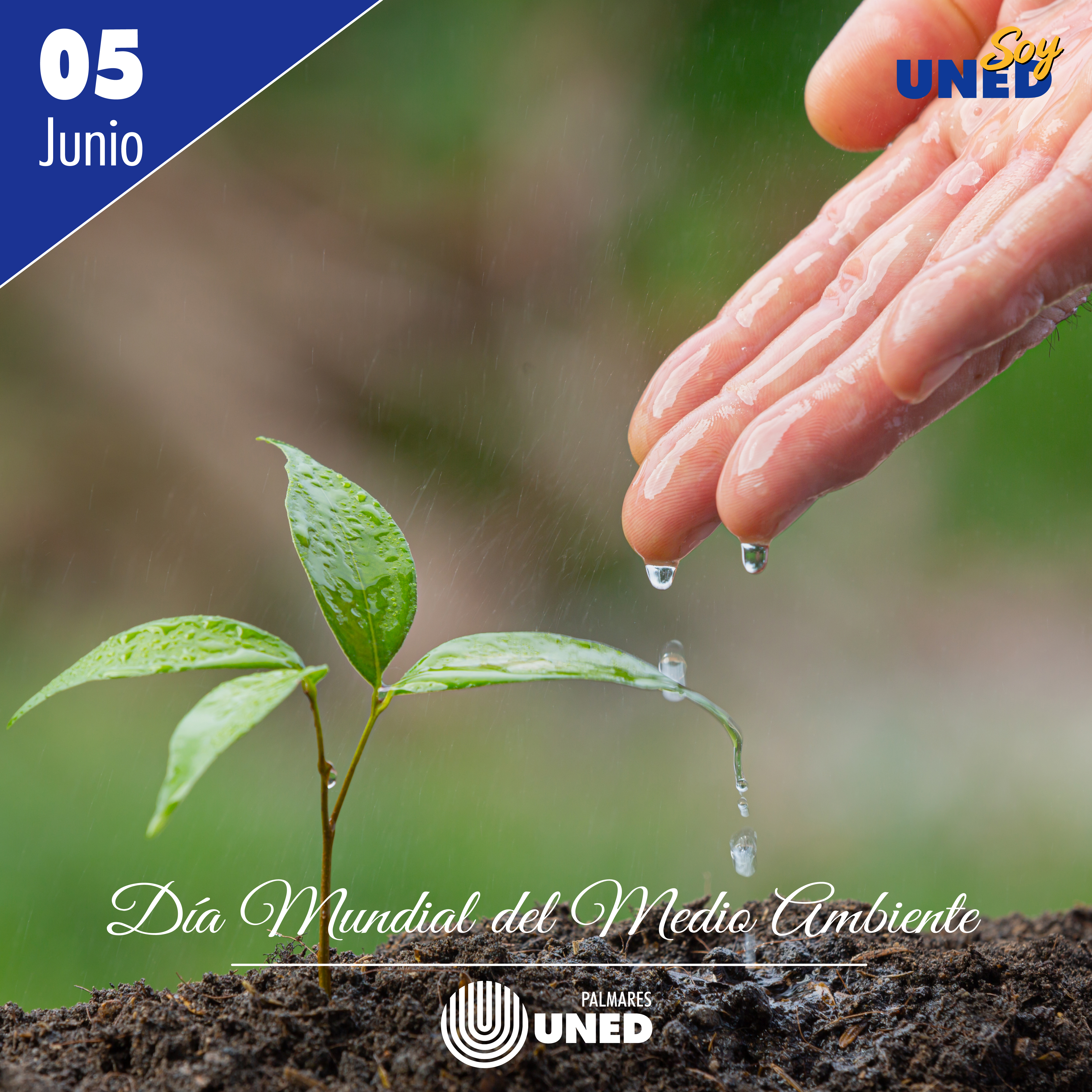 39 Día Mundial del Medio Ambiente