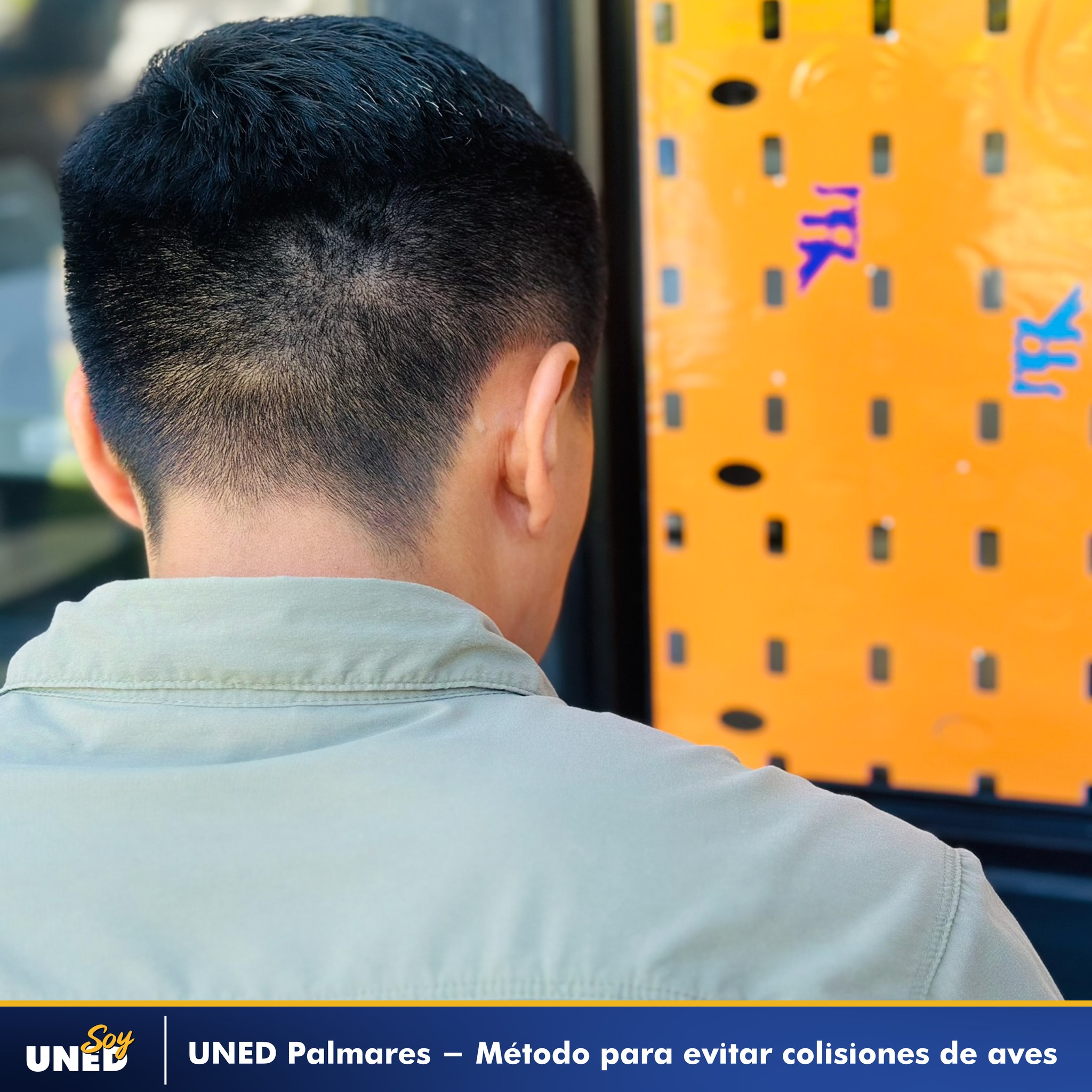 015 Taller Aplicación de método colisiones de aves