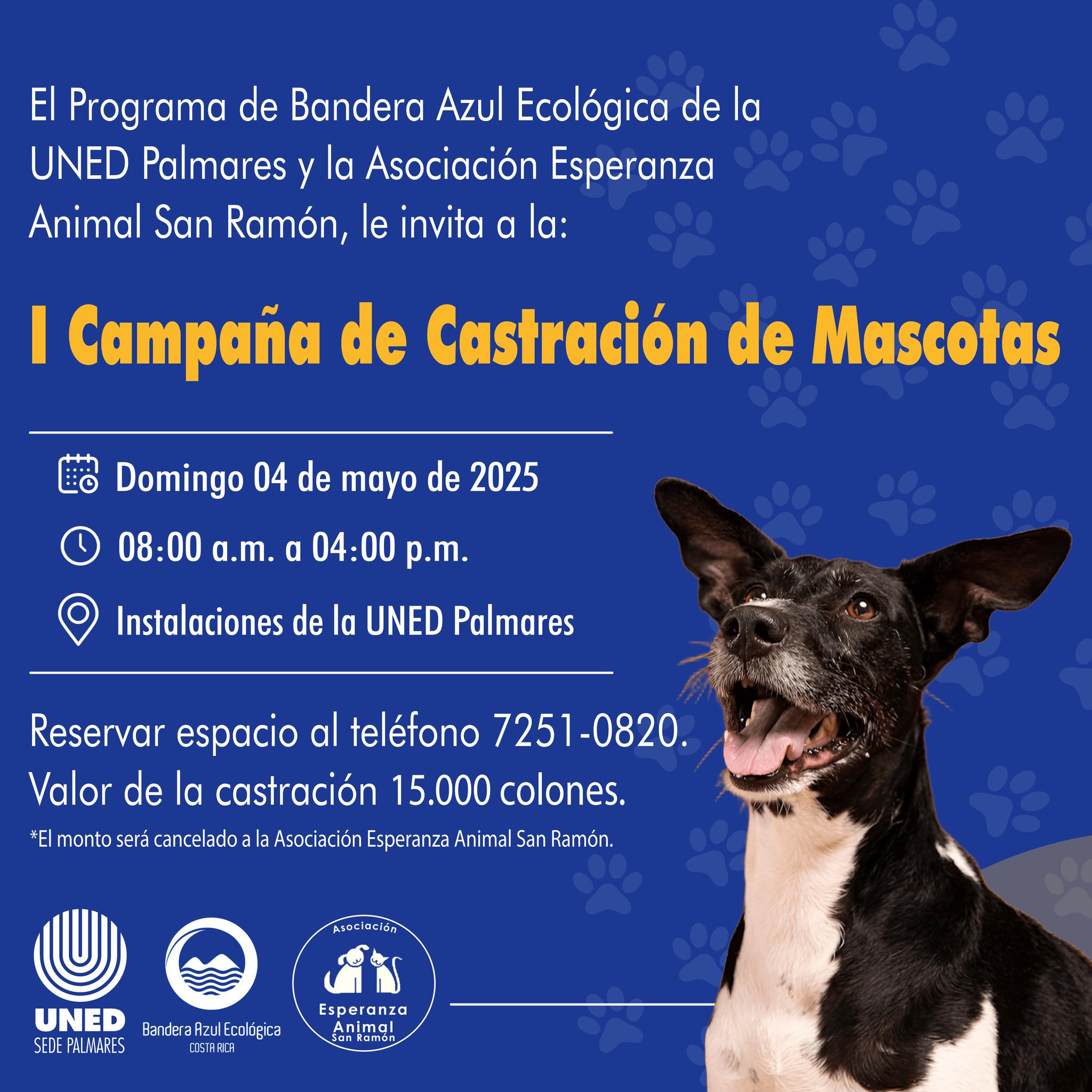 026 I Castración 2025