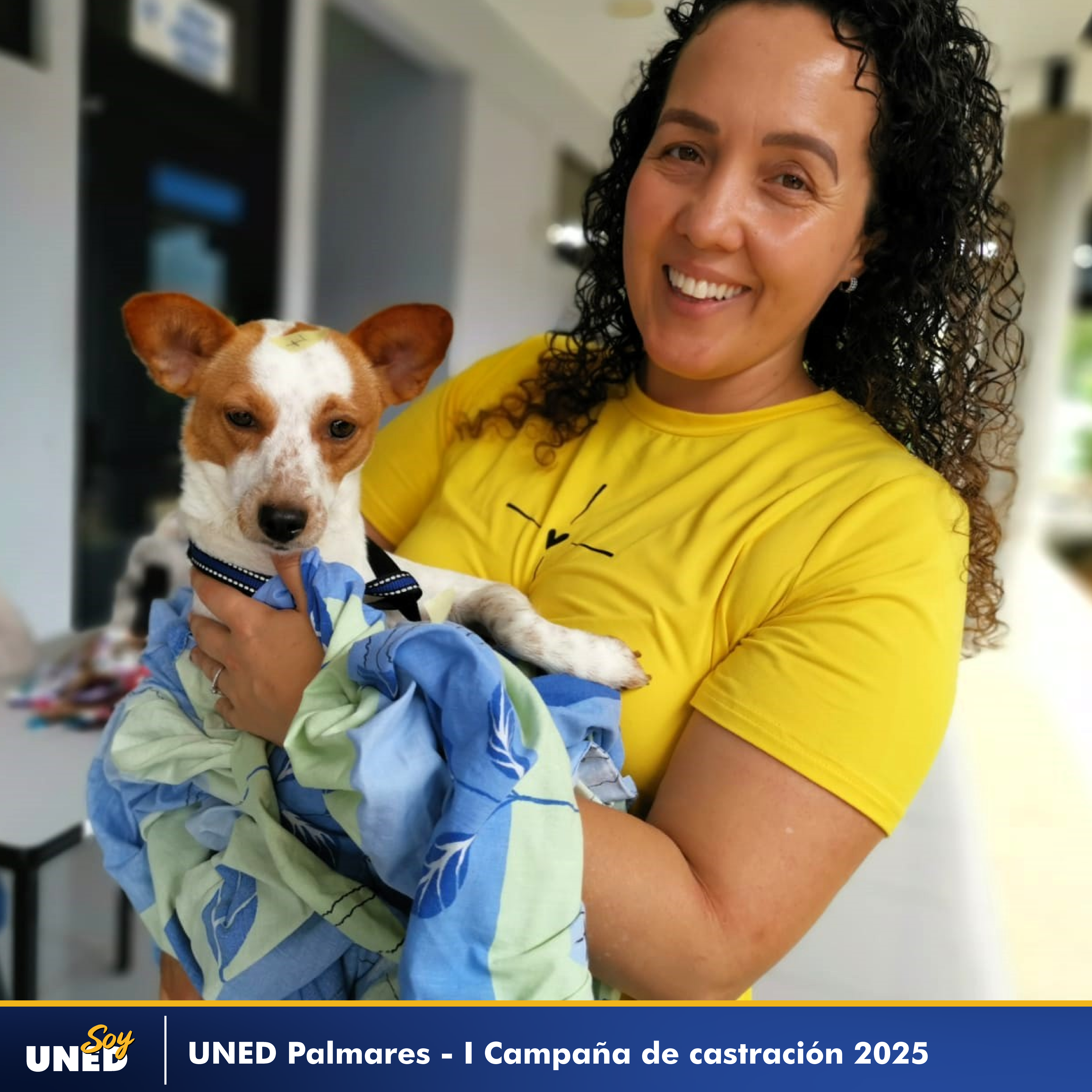 038 I Castración 2025