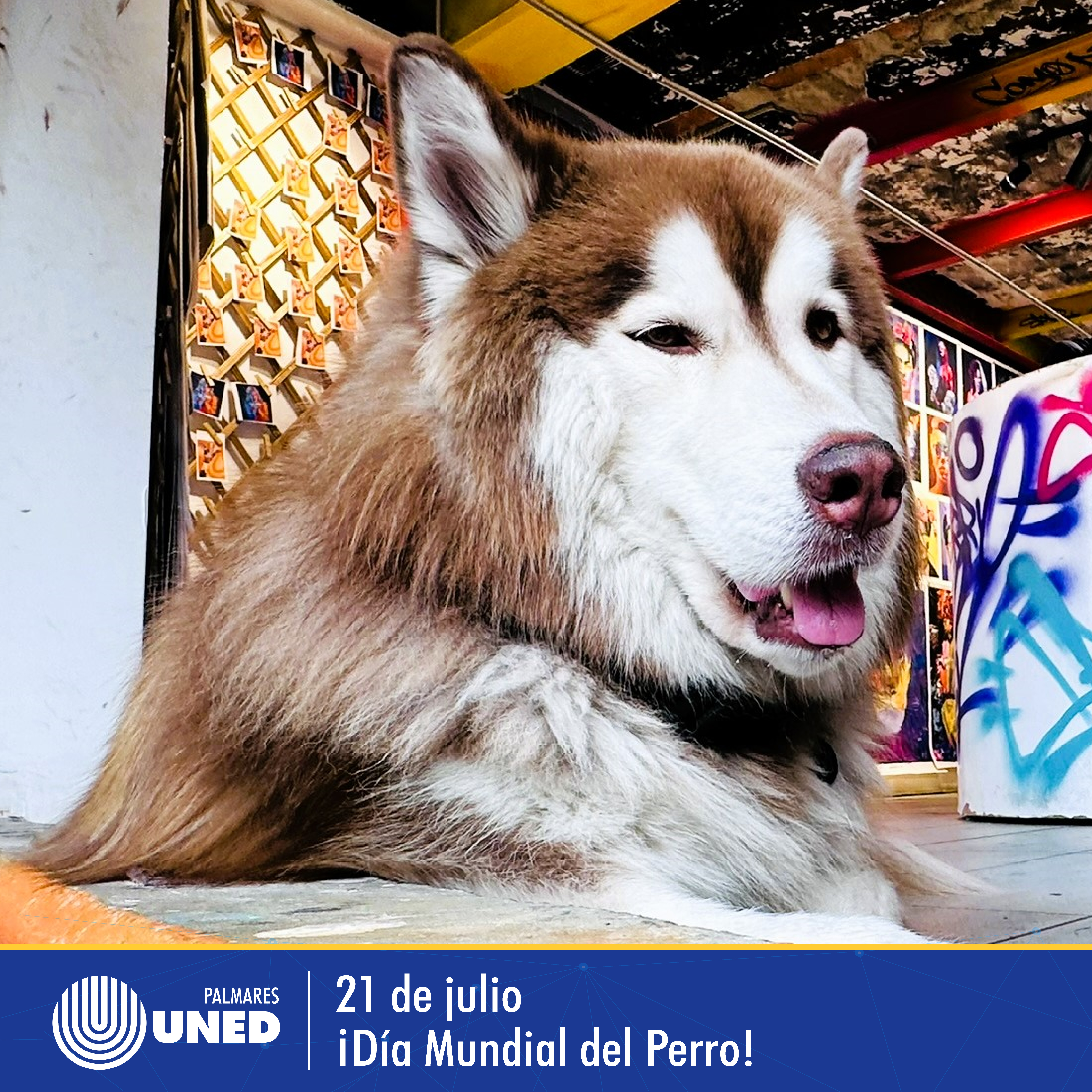 054 Día Mundial del Perro