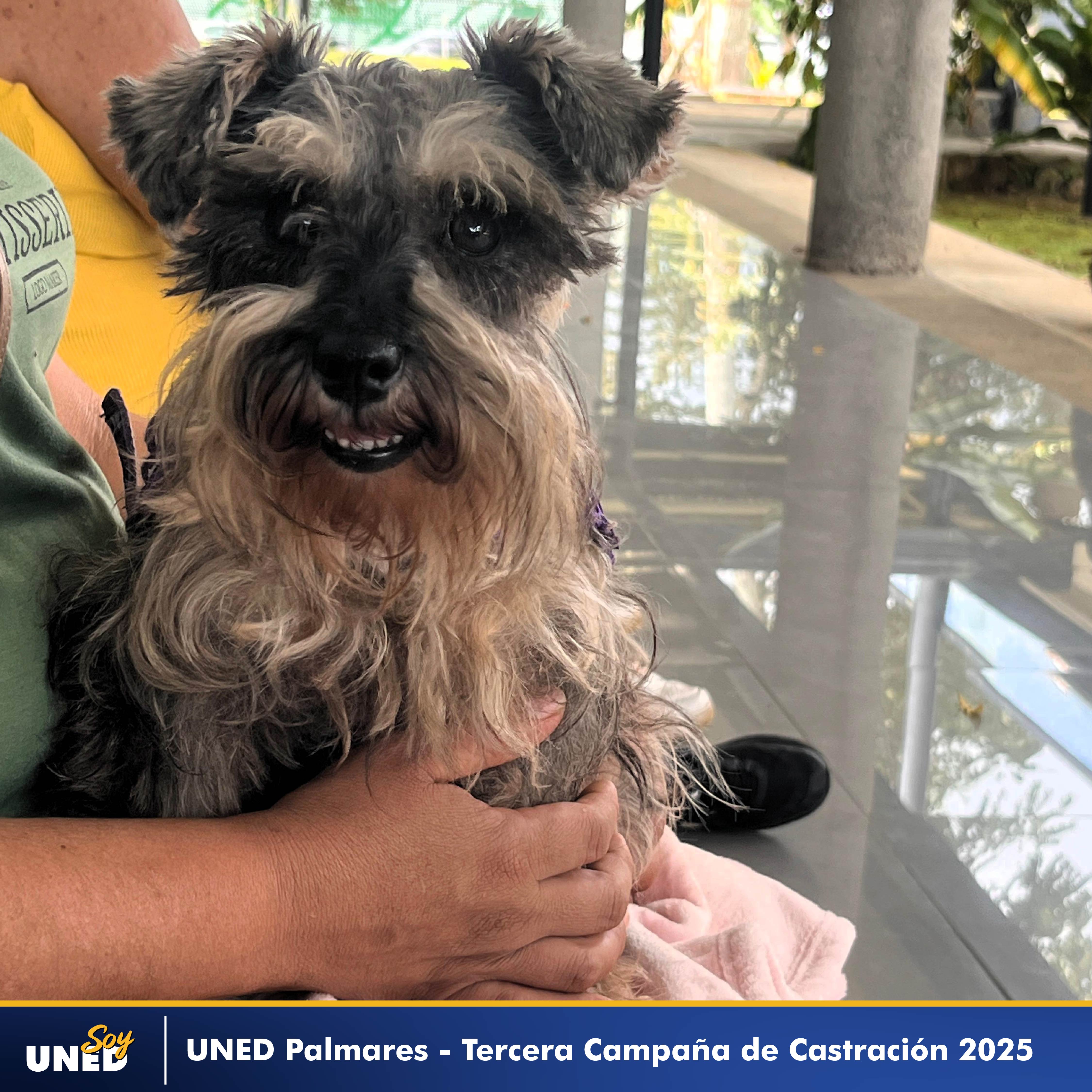 087 Tercera Campaña de Castración