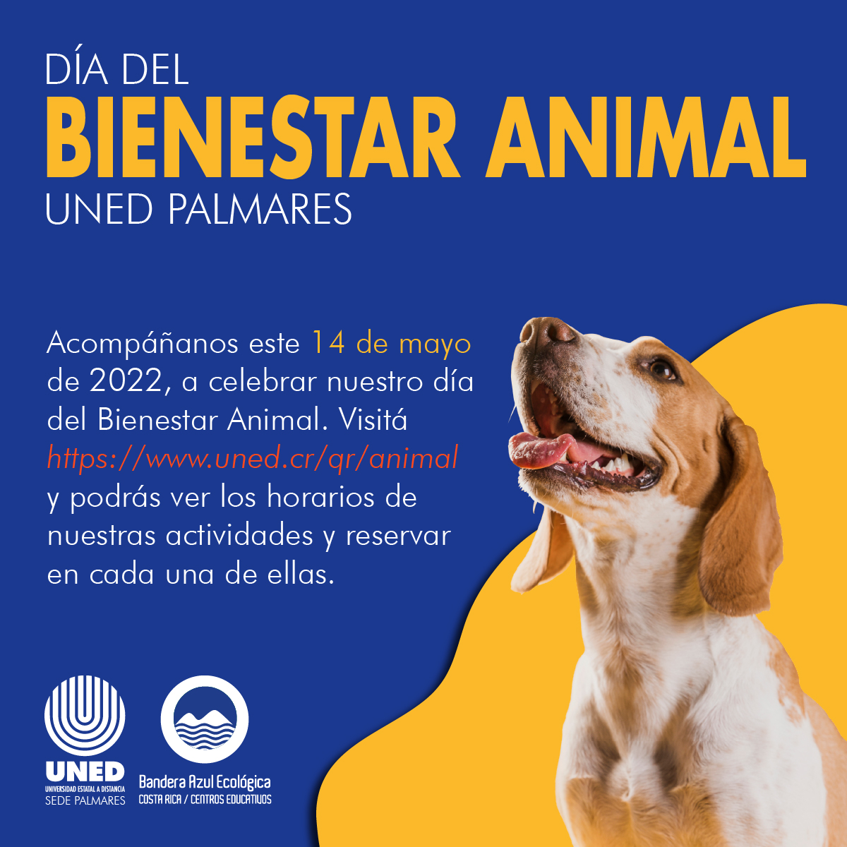 Día del bienestar animal 2022
