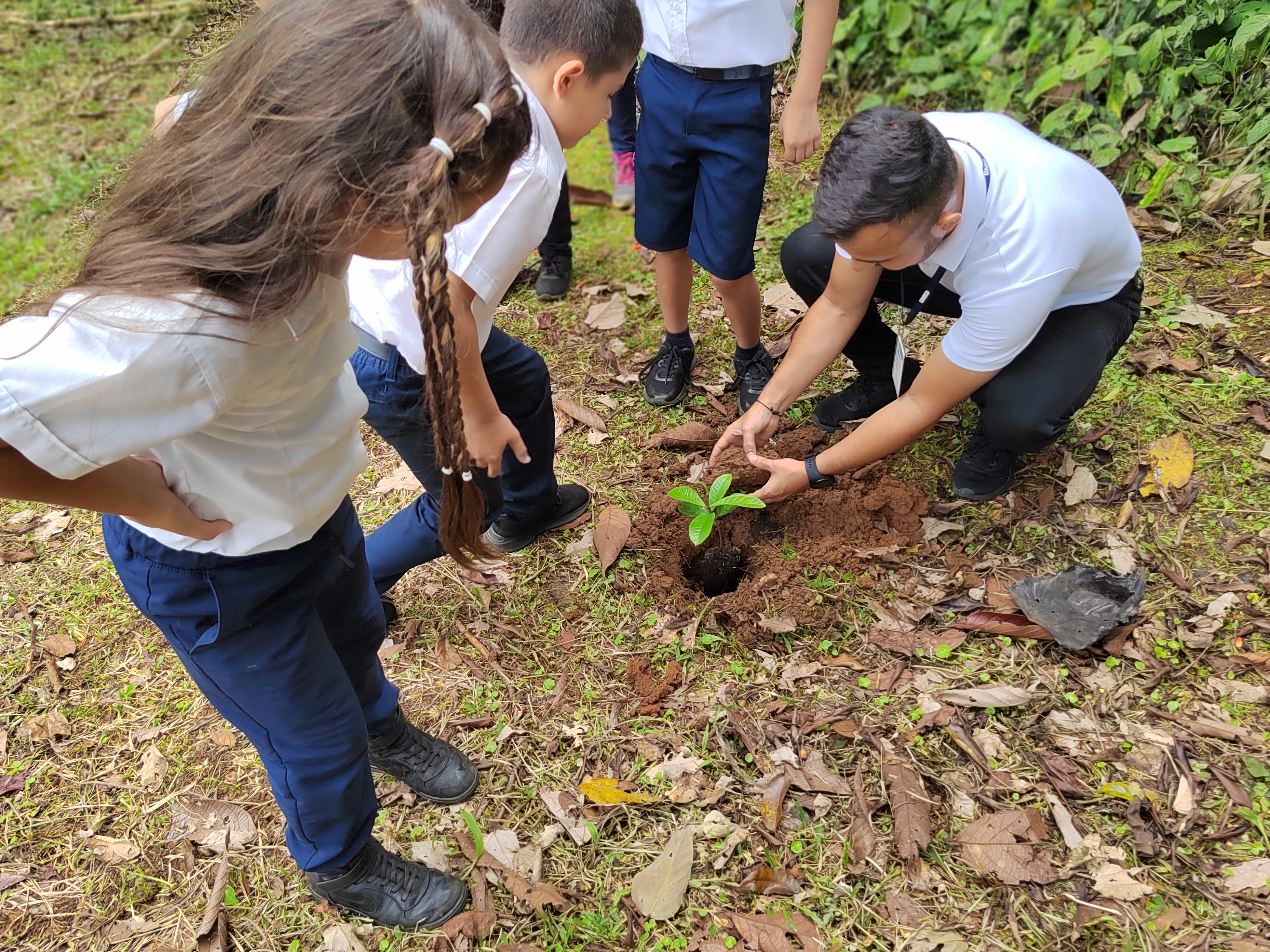 IMG 20231017 103154 1