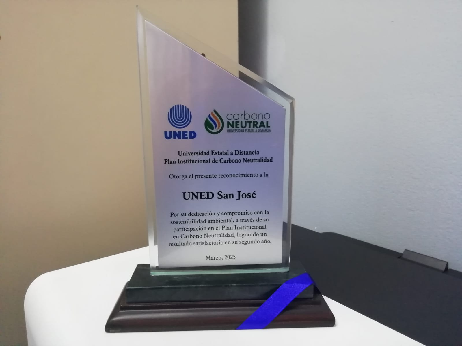 WhatsApp Image 2025 03 20 at 1.55.52 PM