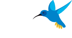 universidades salud mental