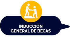 curso becas